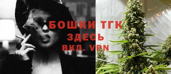 спайс Алексин