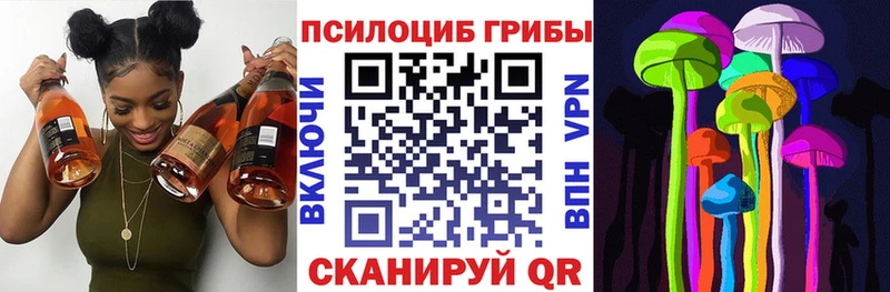 Галлюциногенные грибы Psilocybine cubensis Алагир